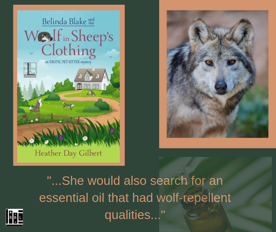 Belinda Blake and the Wolf..1