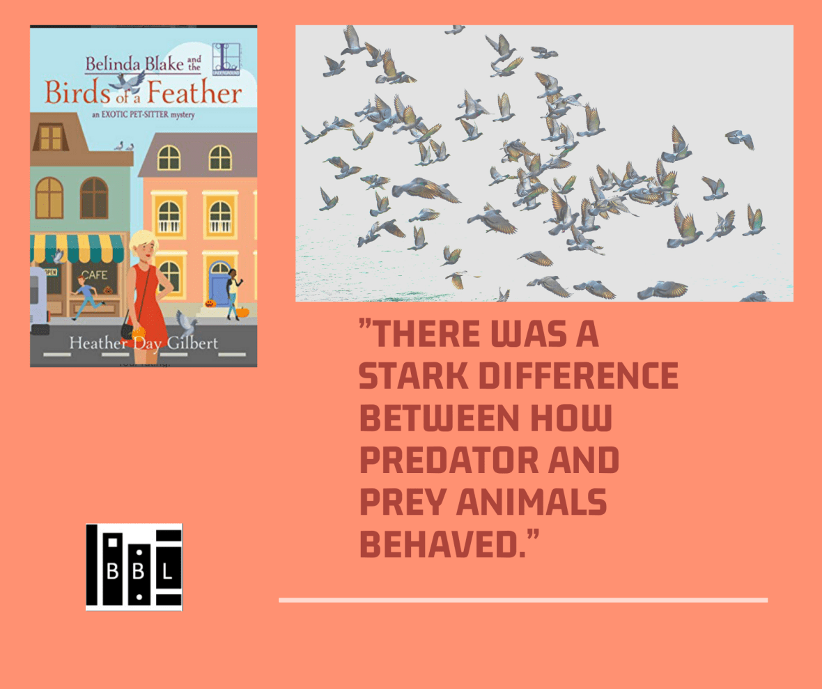 Birds of a Feather 1